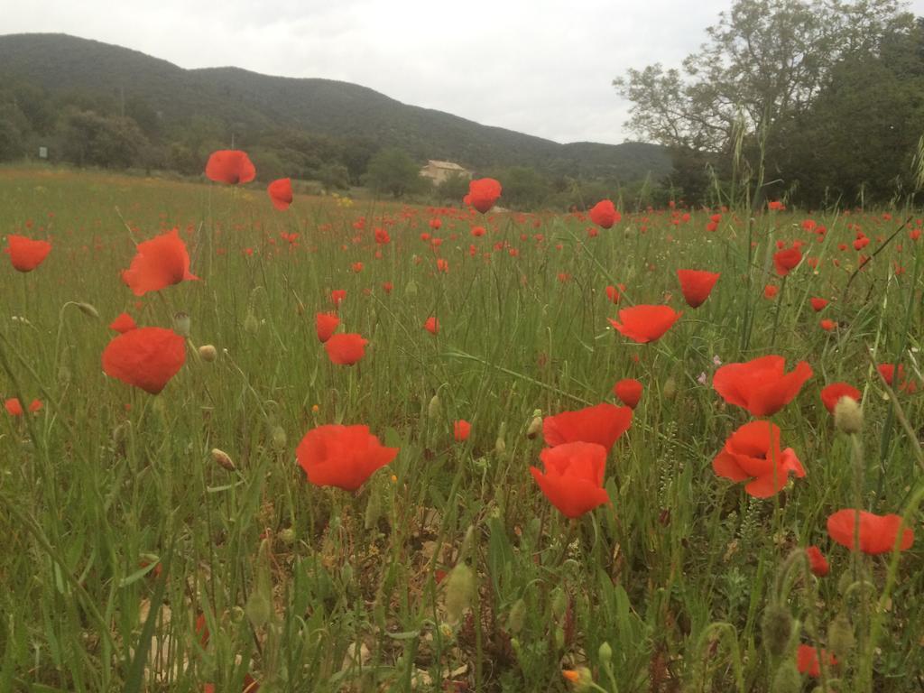 La Rivayne Panzió Lourmarin Kültér fotó